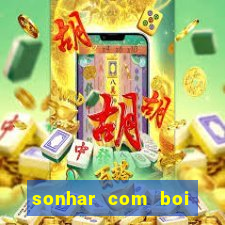 sonhar com boi jogo do bicho